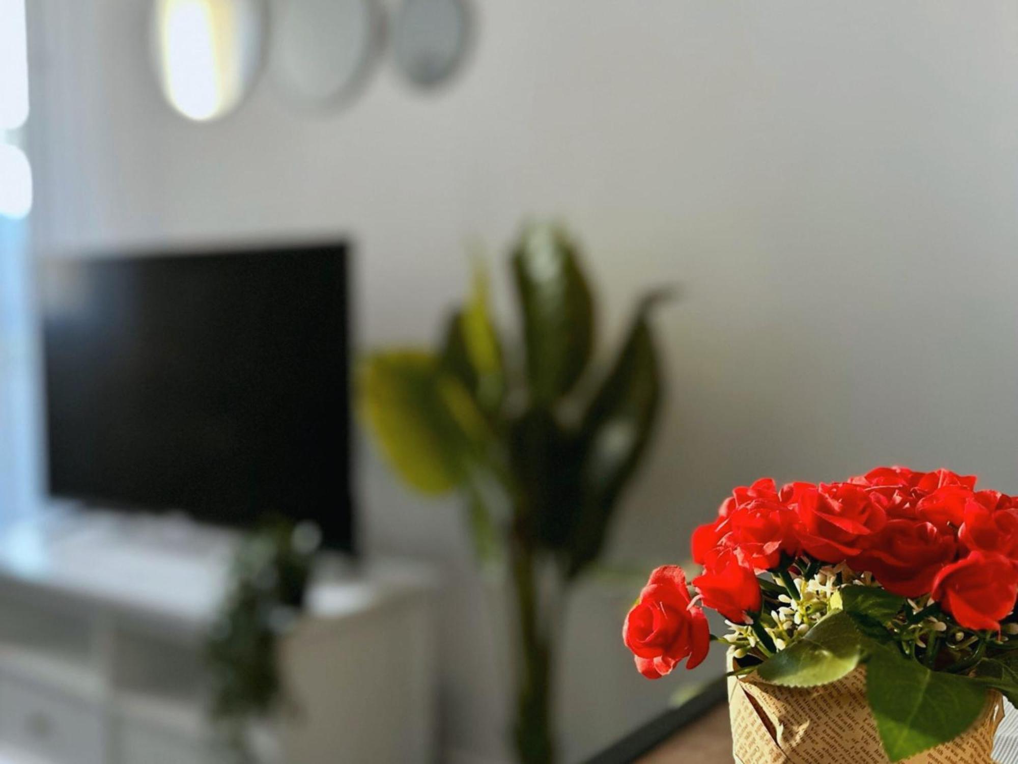 Appartement Croisette Palm beach Cannes Esterno foto